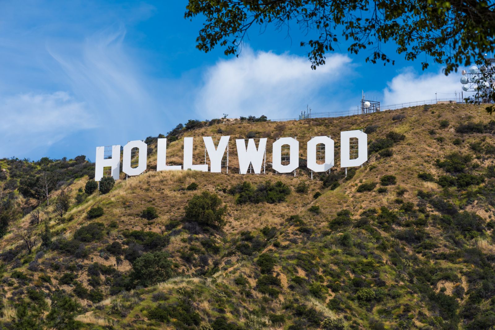 Hollywood in Fermento: Novità Scintillanti e Anticipazioni Infuocate